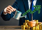 Кредитование сезонных полевых работ увеличилось на 2,9% Кредитование сезонных полевых работ увеличилось на 2,9%